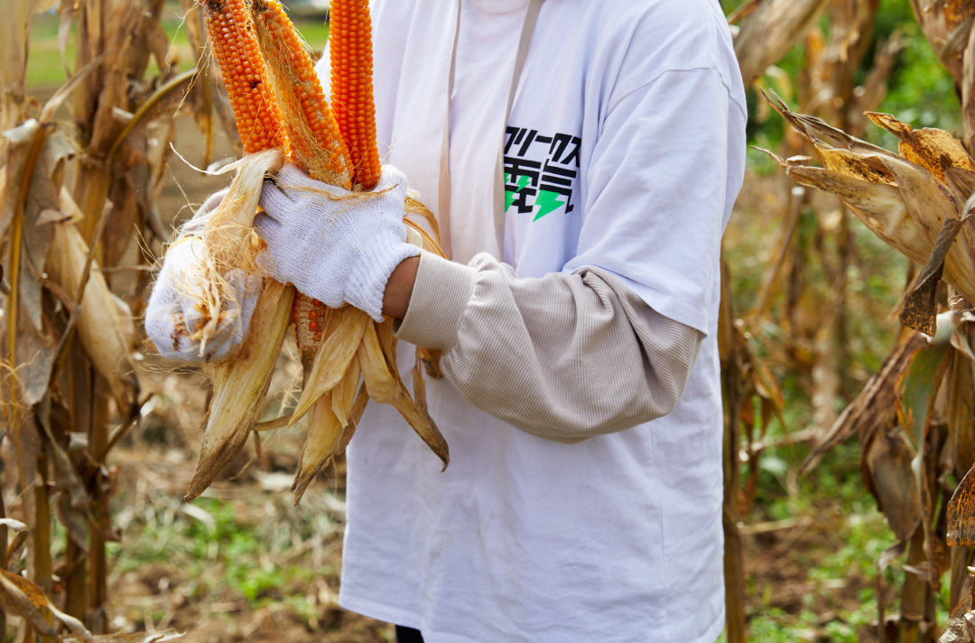 限定100本！ 長野県の学生と一緒に作った信州産プレミアムポップコーン
